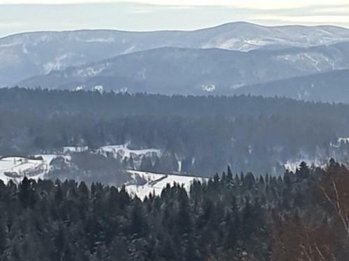 Apartamento Michalka 1 - Domki Pod Leskowcem