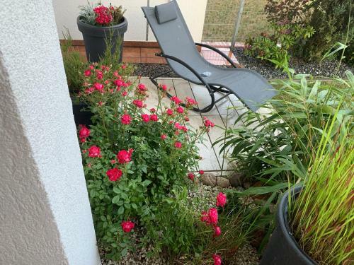 Apartament Szczecin Dunska