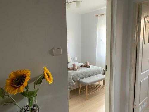 Apartament Szczecin Dunska