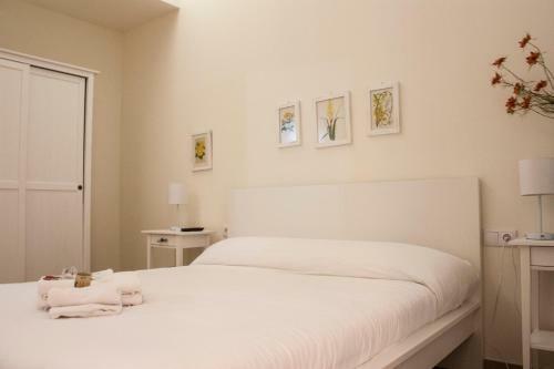 Apartamento Splendid Houses In Valencia