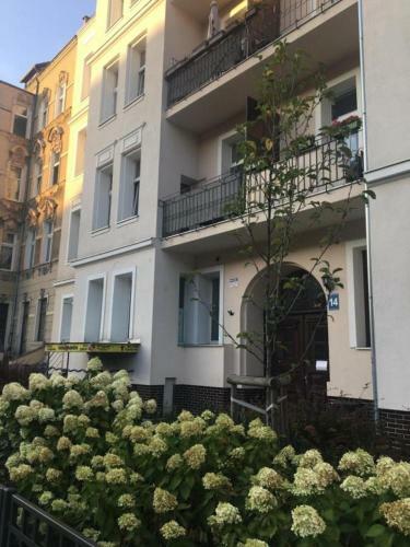 Kazia Apartment In My Center