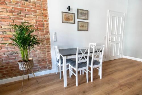 Apartamento Kamienica1899