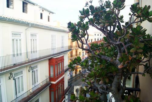 Preciosos Apartamentos En El Carmen