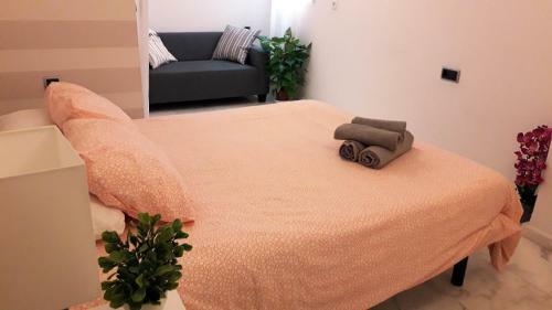 Preciosos Apartamentos En El Carmen