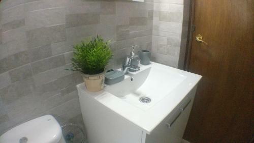 Preciosos Apartamentos En El Carmen