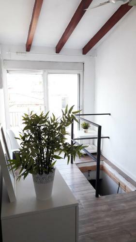 Preciosos Apartamentos En El Carmen