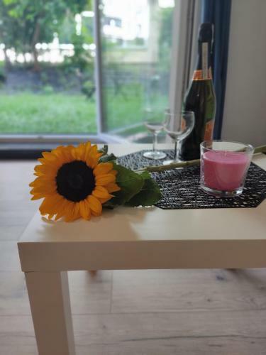 River House - Apartament Z Ogr�dkiem