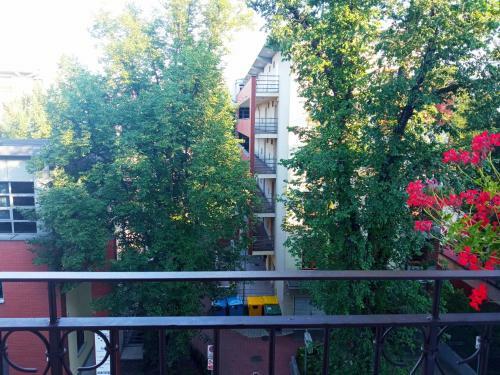 Zaciszny Apartament