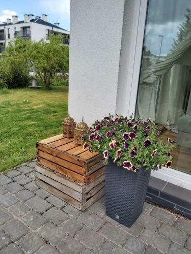 Apartamento Maciejkowa