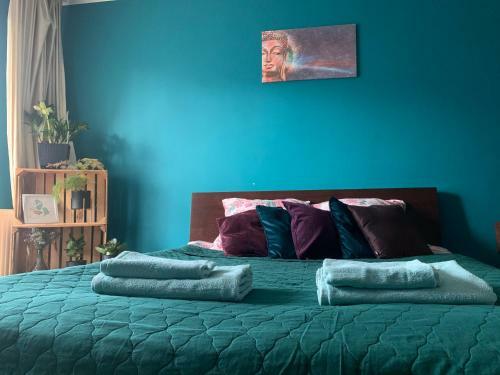 Uroczy Apartament W Centrum Miasta
