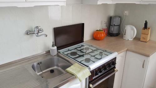 Apartament Tarn�w-mo?cice Przy Mo?cie