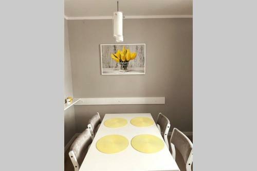 Modern Apartment In Tarnow