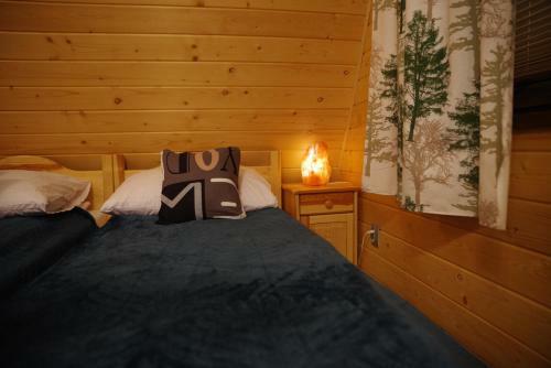 Villa Ski House Szczyrk - Solisko