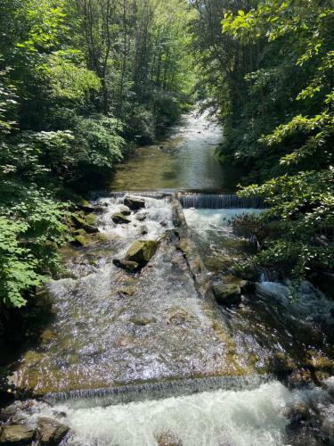 Green Apart Mountain Szczyrk Bratk�w 10e