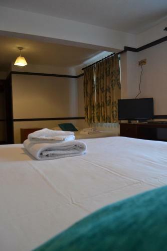 Hostal The Manor Hotel