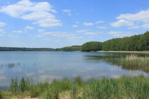Hostal Pensjonat Mlyn Tuczno