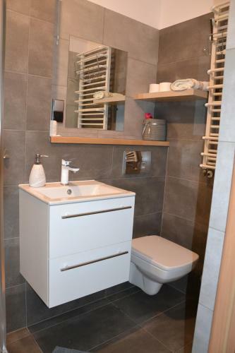 Apartamento Trz?sacz For You