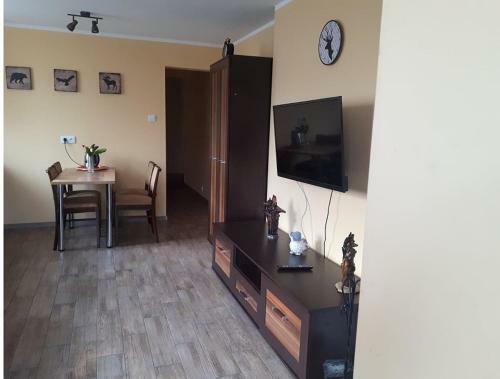 Apartamenty Sawino 4