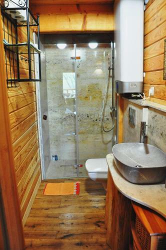 Krolowo Apartment