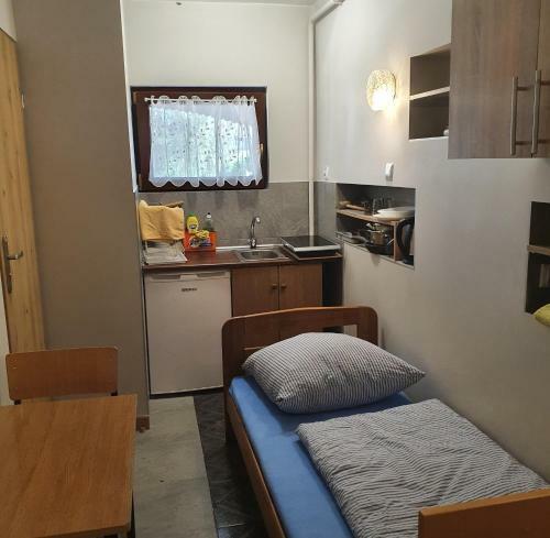 Albergue Noclegi Silesia Aster