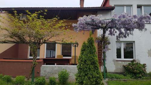 Albergue Noclegi Silesia Aster