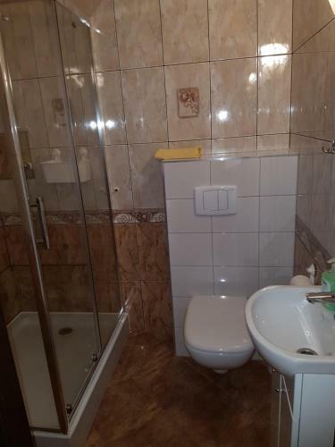 Albergue Noclegi Silesia Aster