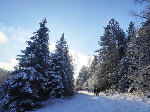 Apartament Na Sportowej
