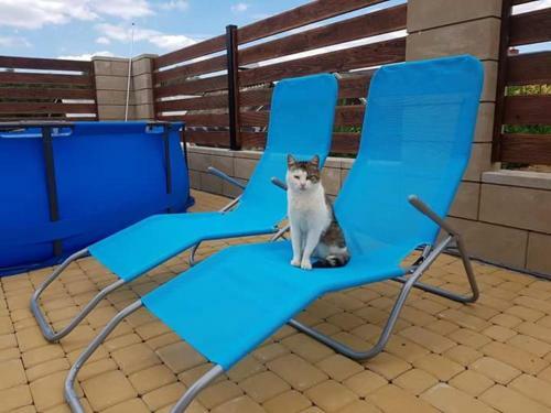 Apartamenty Maja
