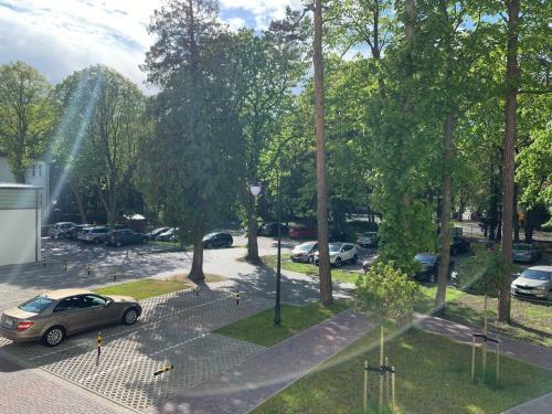 Apartament Clif