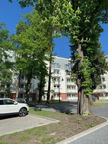 Apartament Clif