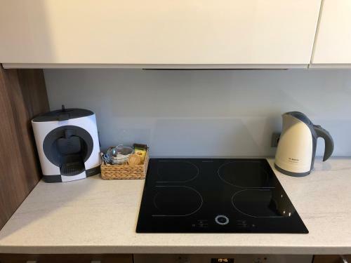 Silver Apartament