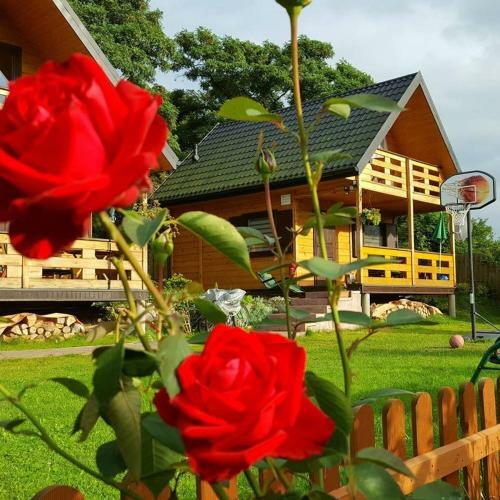 Lodge Domki Letniskowe Zbyszko