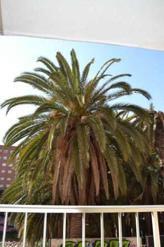 Apartamento Beach Malvarrosa, Caba�al, Wifi Free. Ca' Micaela.