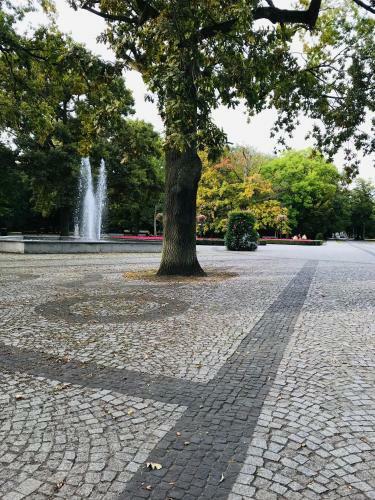 Apartament Z Widokiem Na Morze Pla?a Promenada