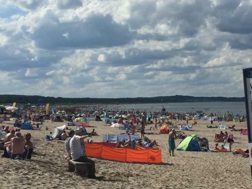 Greta Apart