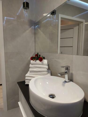 Apartament Rose 9 ?winouj?cie