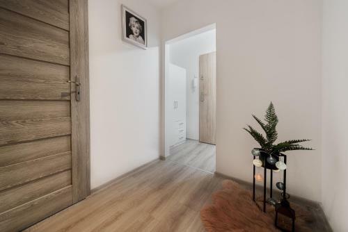 Emi Apartamenty