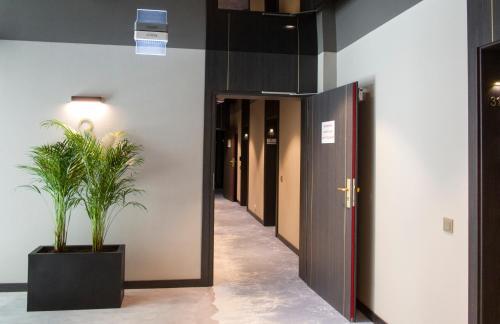 Apartamento Albus 312