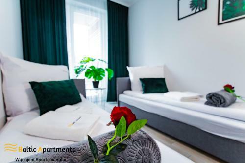 Baltic-apartments - Apartamenty Monstera