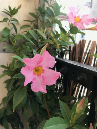 Apartamento Appartement Elsa Valencia