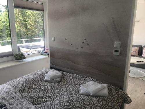 Apartament Bia?y Dom Herberta 4