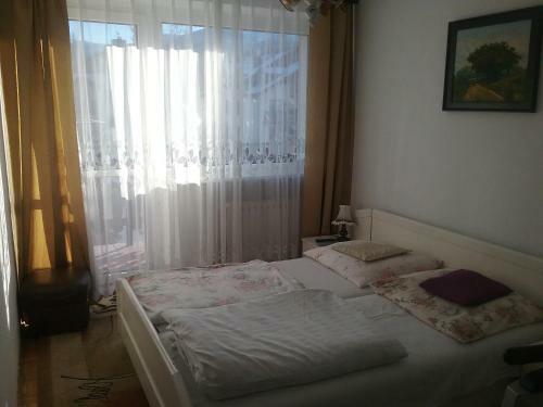 Bed & Breakfast Willa Hektor
