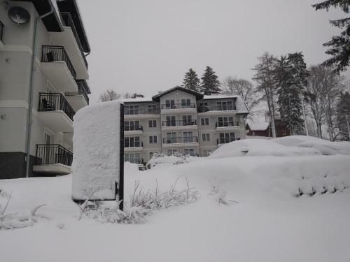 Apartamenty Amika