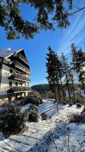 Dziki Apartament Panorama G�r