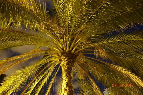 Apartamento Luxury Port Aparment