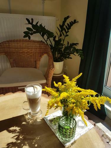 Apartament Pod Jelonkiem