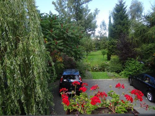 Hostal Apartamenty I Pokoje Aneta
