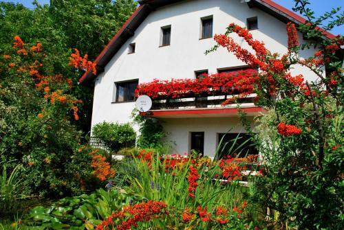 Hostal Apartamenty I Pokoje Aneta