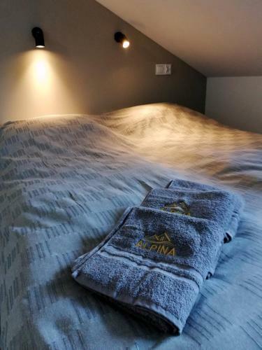 Bed & Breakfast Villa Alpina