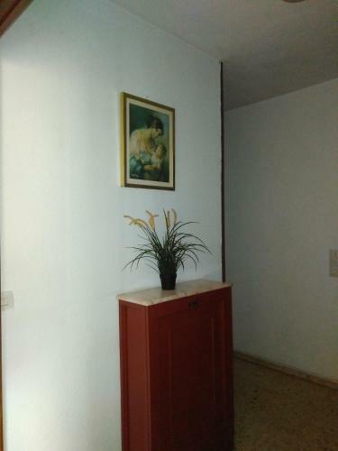 Hi Room